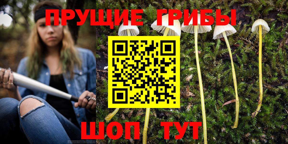 Петрозаводск  Галлюциногенные грибы Magic Shrooms  Галлюциногенные грибы Magic Shrooms  Вход с VPN 